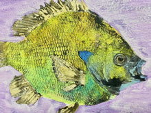 Load image into Gallery viewer, Big Bluegill on Lavender
