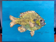 Load image into Gallery viewer, Big Bluegill on Blue
